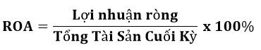 chỉ số roaa là gì - Công thức ROA