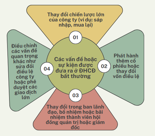 Các vấn đề thường được đưa ra tại đại hội đồng cổ đông bất thường