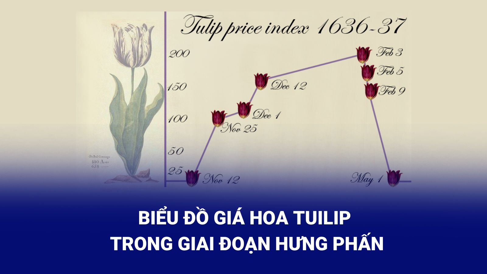 Biểu đồ giá hoa tulip lao dốc khi bong bóng kinh tế nổ ra