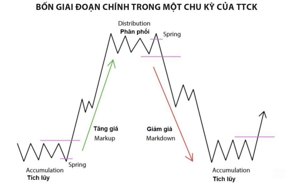 Chu kỳ thị trường là gì? 4 giai đoạn quan trọng của chu kỳ thị trường ...