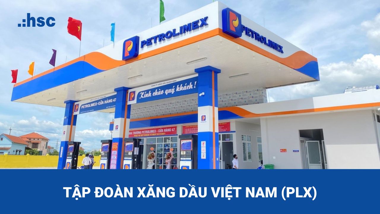 Tập đoàn Xăng dầu Việt Nam