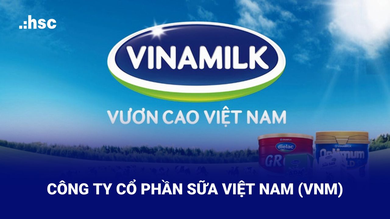 VNM là một trong những công ty lớn nhất tại Việt Nam với chiến lược phát triển dài hạn 