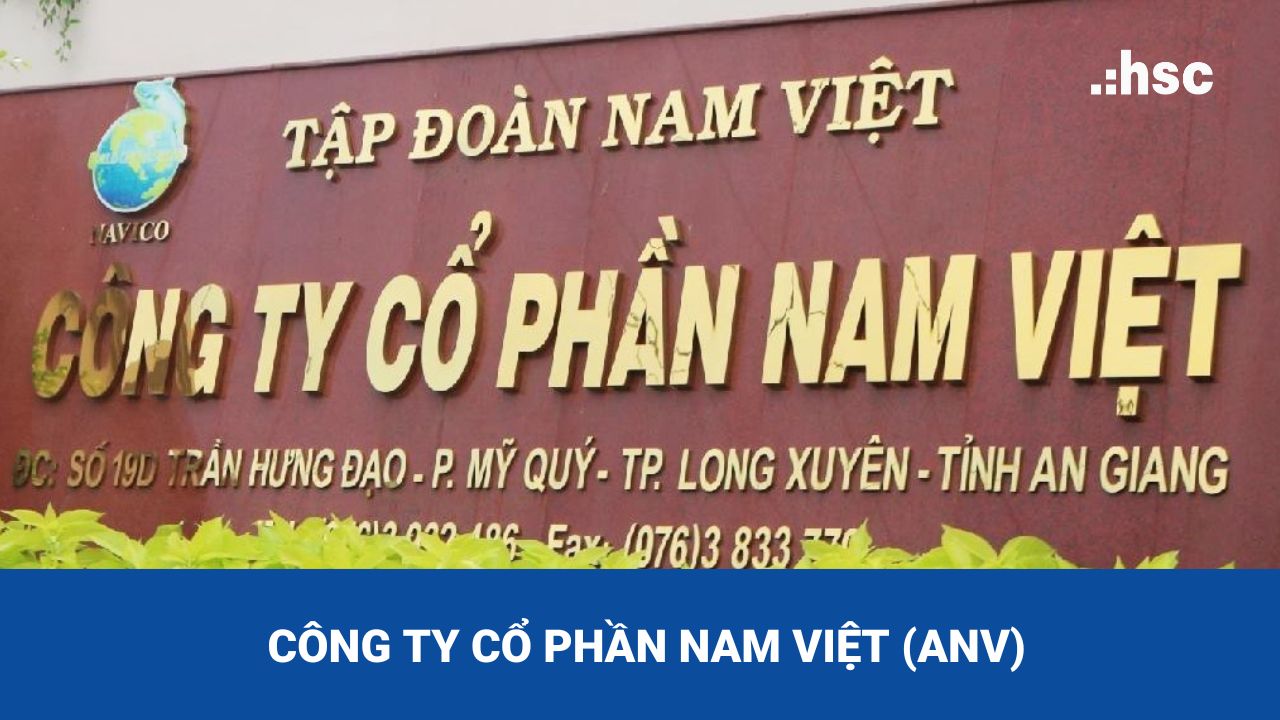 Công ty Cổ phần Nam Việt 