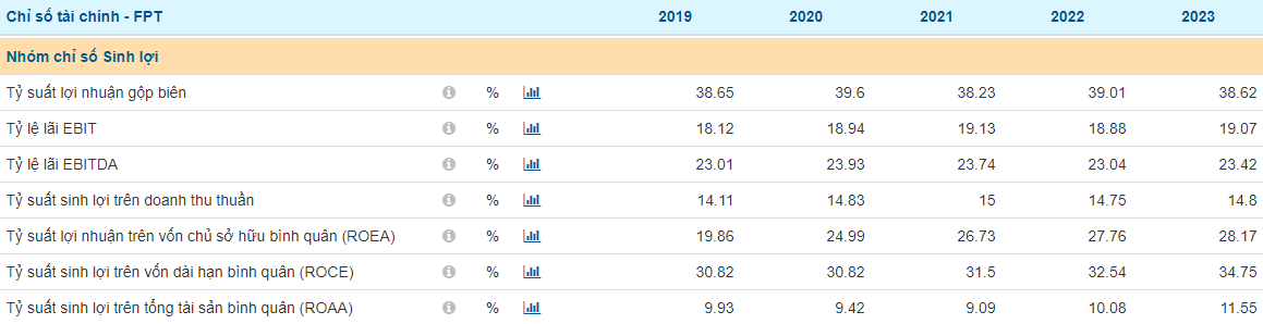 Tài chính doanh nghiệp - Nhóm chỉ số sinh lợi của FPT