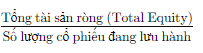 tổng tài sản ròng ,định giá cổ phiếu