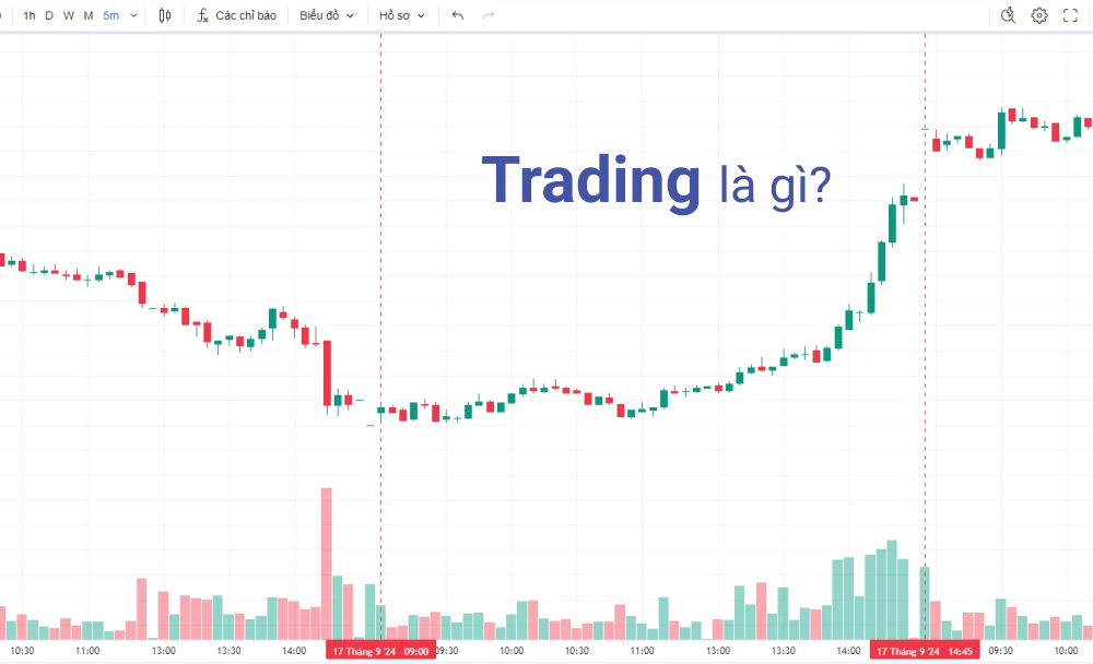 Trading là gì? Cách xây dựng tính kiên trì và kỷ luật trong trading